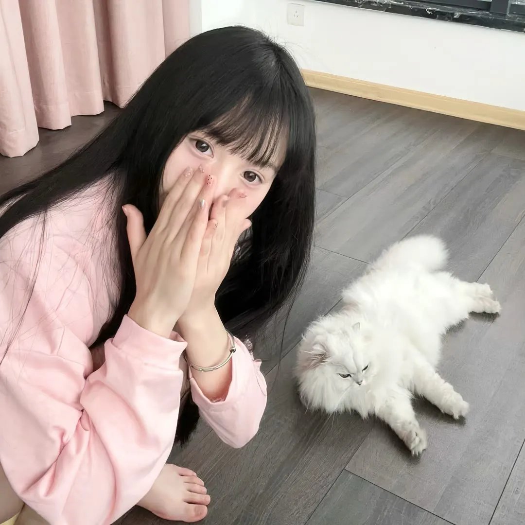 归来燕